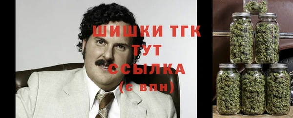 хмурый Магас