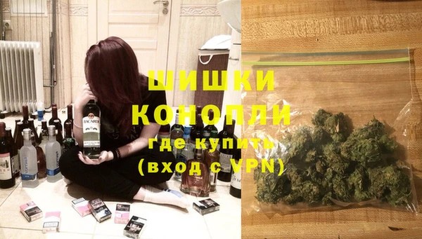индика Магадан