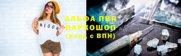 индика Магадан