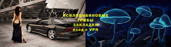 индика Магадан