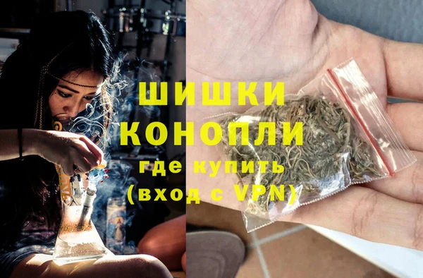 индика Магадан