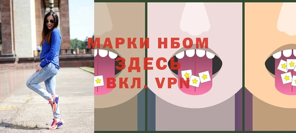 хмурый Магас