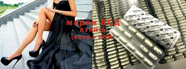 хмурый Магас