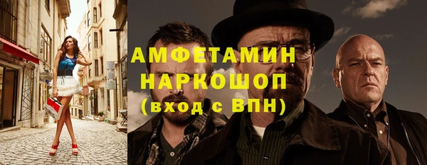 хмурый Магас