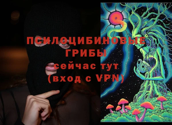 индика Магадан